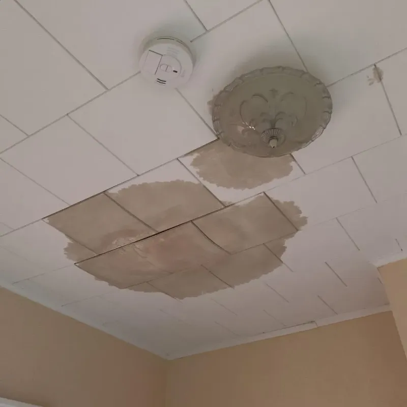 Ceiling Water Damage Repair in Ridgetop, TN