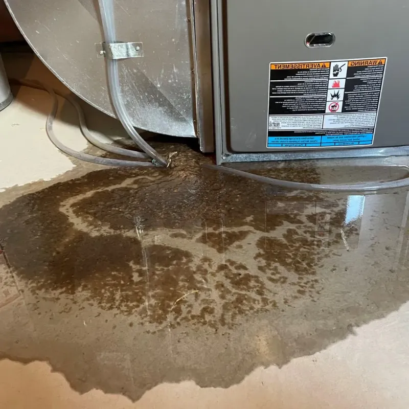 Pipe Burst and Leak Restoration in Ridgetop, TN
