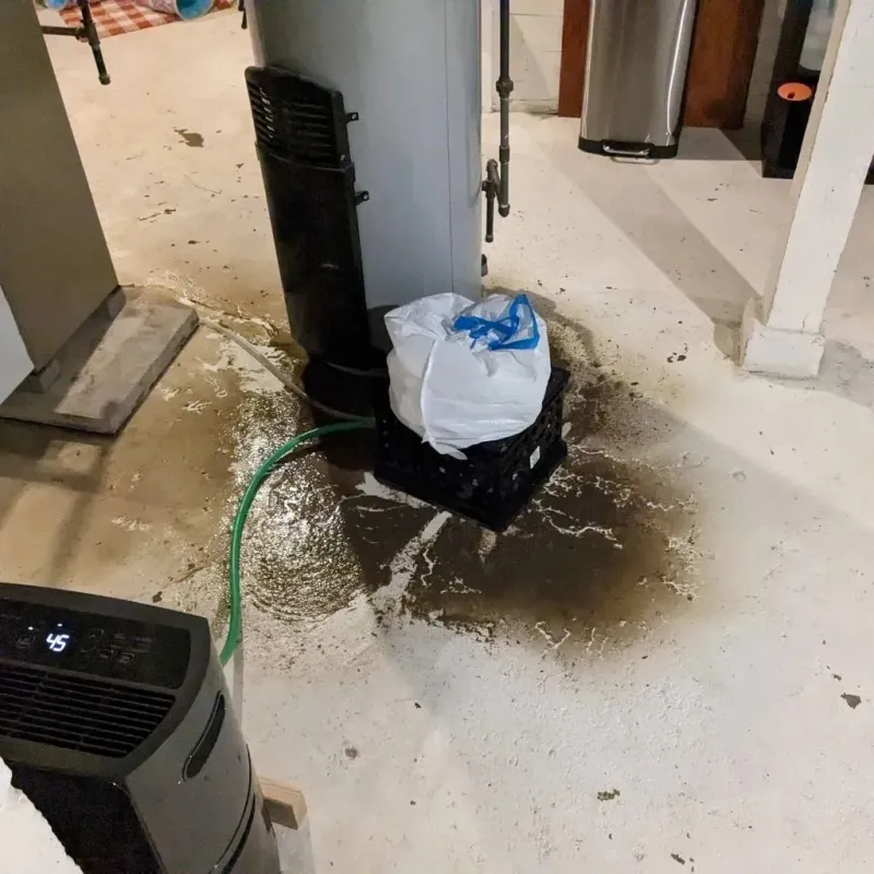 Sewage Backup Cleanup Service in Ridgetop, TN